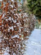 Domaine de Marchal - chambres et table dhôtes