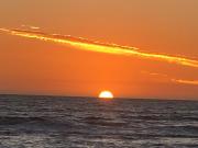 Top Los Rábanos Top Los Rábanos