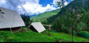 Organic Stays Manali