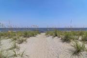 Top Tybee Island