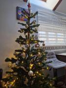 Jaukus butas senamiestyje