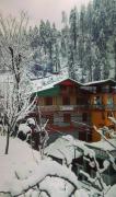Top Jibhi