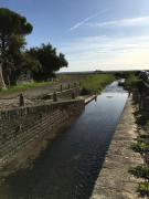 Top Genêts Top Genêts