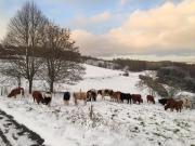 Ferienwohnung Ostwind