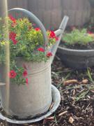 CALM HOME 3-Zimmer mit Wintergarten