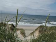 Top Ringkøbing Top Ringkøbing