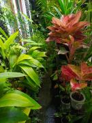 ChiGhaya Guest House