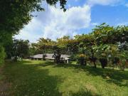 Top Estación El Salto