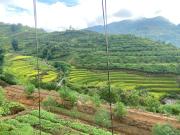 Sen Sapa Retreat & Tours
