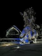 Top Krempna Top Krempna