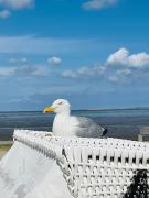 Ferienhaus StrandGut