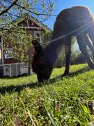 Top Abtsgmünd Top Abtsgmünd