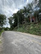 Mangrove bungalow & restaurant