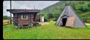 Cozy little log cabin, dog allowed, sauna
