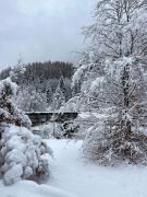 Top Cavalese Top Cavalese