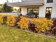 Top Dziwnów Top Dziwnów