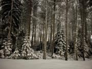 Brand new Arctic snowstar apartment