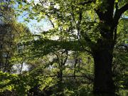 30 person holiday home in Ebeltoft-By Traum