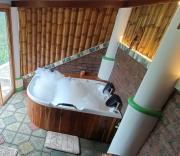 Top Filandia Top Filandia