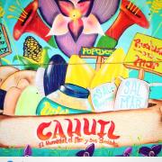 Top Pichilemu Top Pichilemu