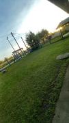 Top Pinhal