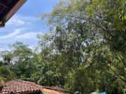 Top São Sebastião