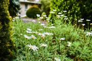 Top Healesville
