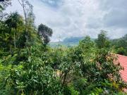 Nice View guest house & restaurant