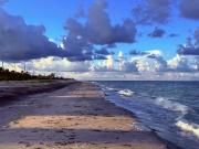 Top Port Charlotte