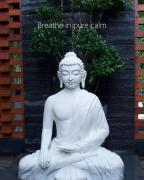 Punarjeevani Ayurvedic Heritage