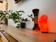 Top Toruń Top Toruń