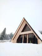 Котедж Відпочинок в Карпатах