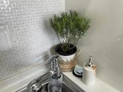 High City view Room with Netflix