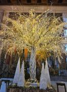 Appartement indépendant avec terrasse