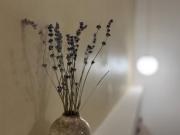 Grande maison de ville intra-muros - Calme & confort