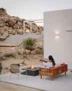 Top Joshua Tree