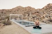 Top Joshua Tree