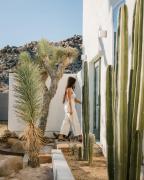 Top Joshua Tree