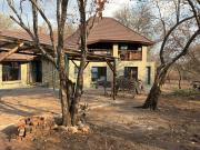 Giraffe Bush by J & J