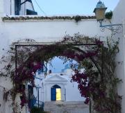 la terrasse aux souvenirs