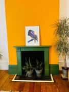 Artistic spacious flat in central Brixton