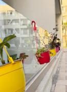 Garden paradis bouznika