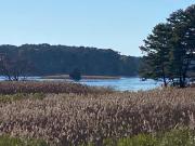 Wellfleet Home
