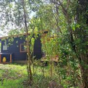 Top Valdivia Top Valdivia