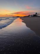 Top Bahía Kino Top Bahía Kino