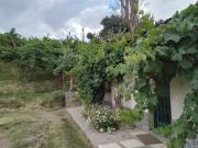 Cabaña El Secadero Mi Campito Cachi Salta