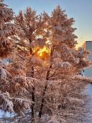 Best location aurora flat!