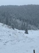 Ca Santina Rooms & Shared Kitchen