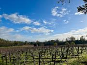 Top Bourg-sur-Gironde