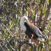 Rustic Farm Cottage Outside Plett ,PET FRIENDLY
